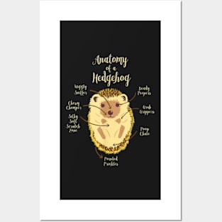 Kids Anatomy Of Hedgehogs Clothes Outfit Art Gift Hedgehog Posters and Art